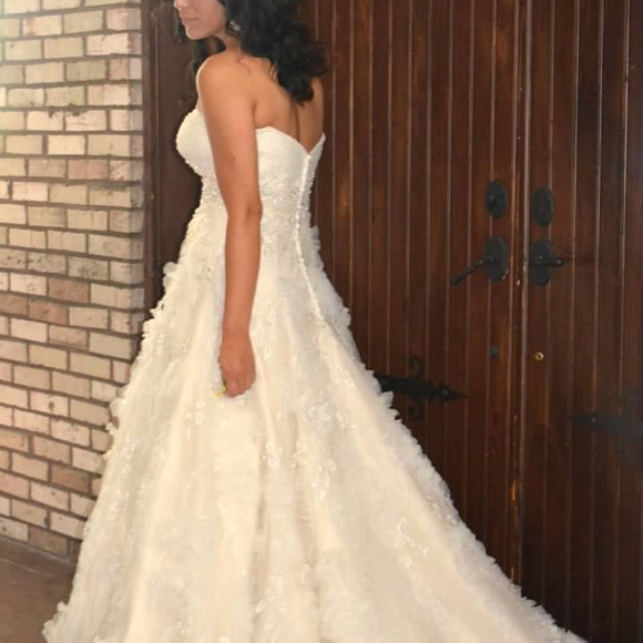 Wedding Dress - Picture 6 of 6